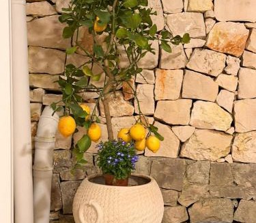 L'Assunta House | Trulli Fichi Luxury Trullo with Private Spa and Saltwater Pool