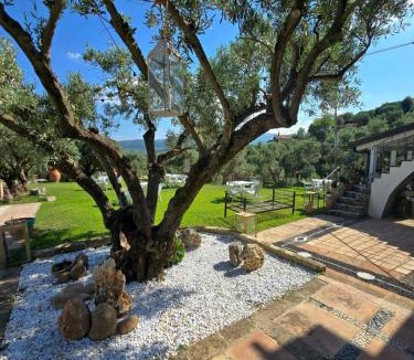 Petrizzi Bed & Breakfast | Santo Re Olive Retreat