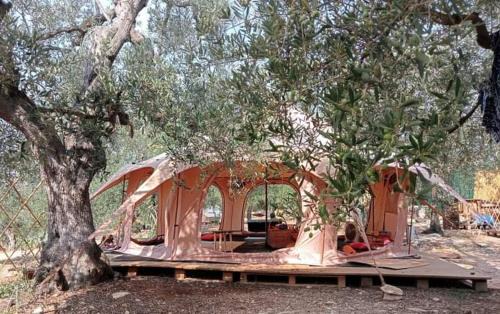 Bisceglie Other | Wishne Glamping Agriturismo in tende Bisceglie
