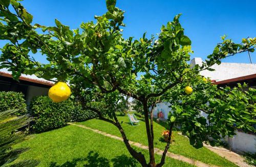 Uggiano la Chiesa Bed & Breakfast | Dimora da Pippi - Relax nel verde vicino Otranto