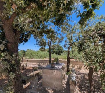 Locorotondo House | Da Giò - Casa Vacanze a Locorotondo