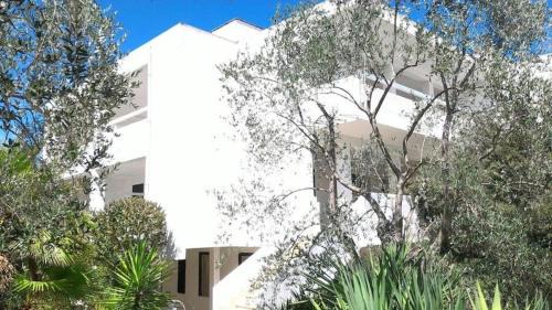 Montincello Apartment | Vieste Gallo Family Residence