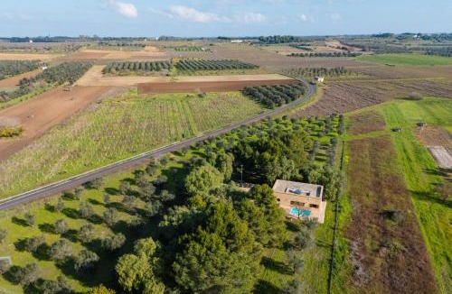 Campi Salentina Villa | Villa Chiara - Salento Selection