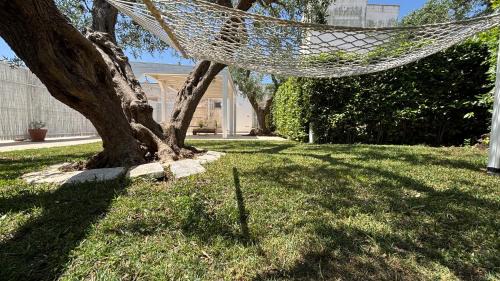 The Trulli of Alberobello Apartment | La Cummersa Trulli Holiday
