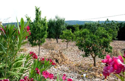 Peschici Bed & Breakfast | B&B La Formichina