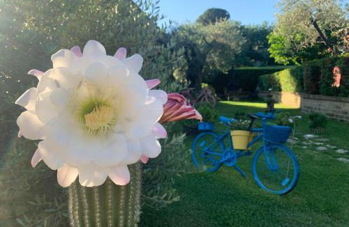 Torricella Sicura Bed & Breakfast | L' Ulivo Bed & Breakfast