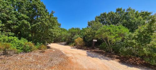 Casalini Bed & Breakfast | Bed and Breakfast Tenuta Sicilia