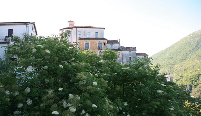B&B Lo Straniero