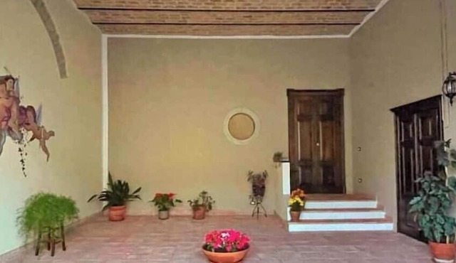 Alma Apartment