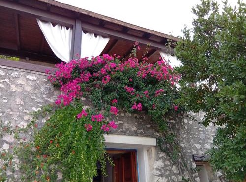 Villa Roberta Holidays